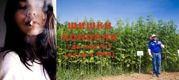 мет Богданович